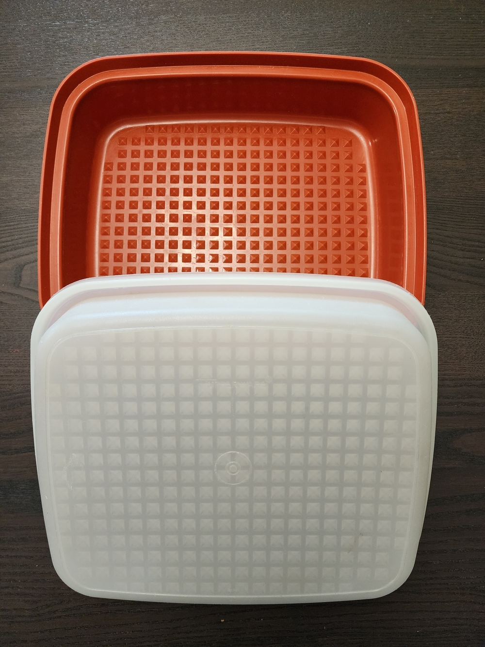 Vintage 80s Tupperware Season Serve Marinater Container Keeper Chili Paprika